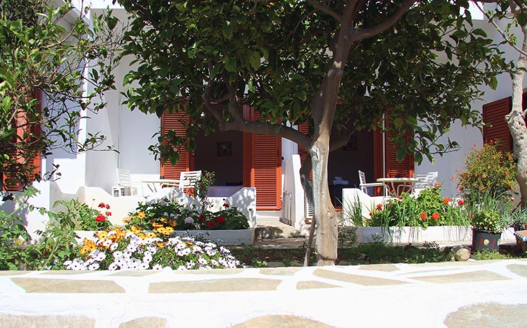 Helios Serifos Livadi (Serifos) Exterior foto